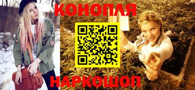 дмт Шелехов