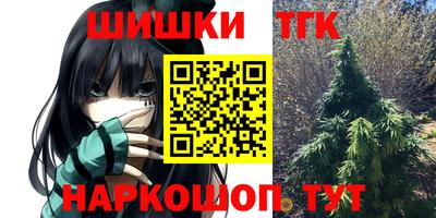 дмт Шелехов