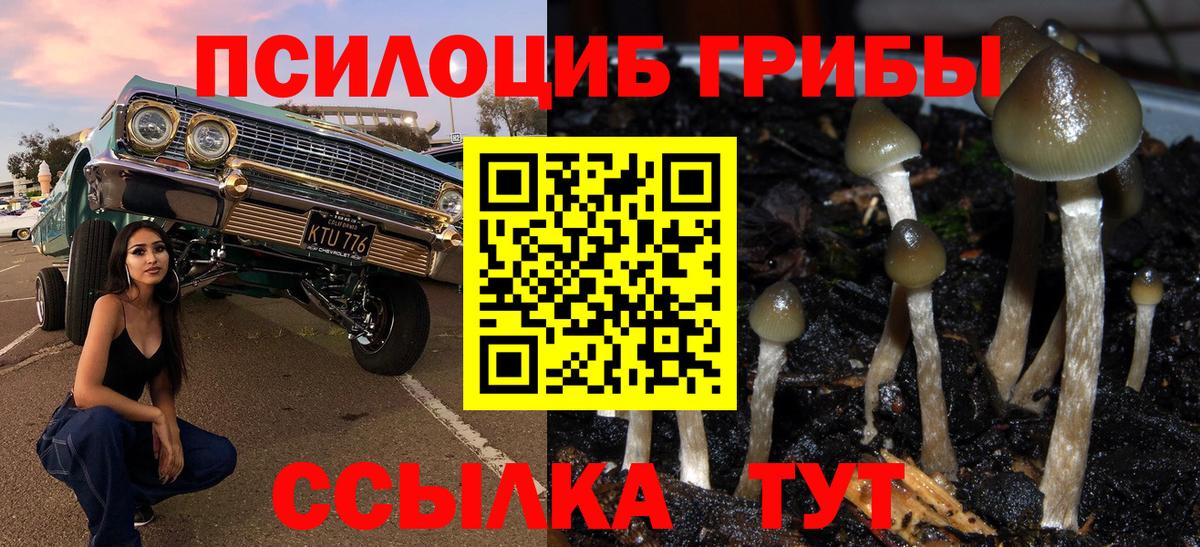 Галлюциногенные грибы ЛСД  Псилоцибиновые грибы мицелий  Кулебаки  Вход с VPN 